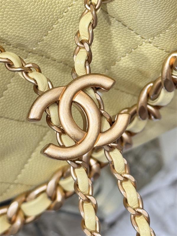 2026131204543810 850